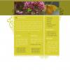 <a href='/uploads/for-students/internet_technology/design_practicing_zip/43.zip' class='file_link'>LETÖLTÉS</a>